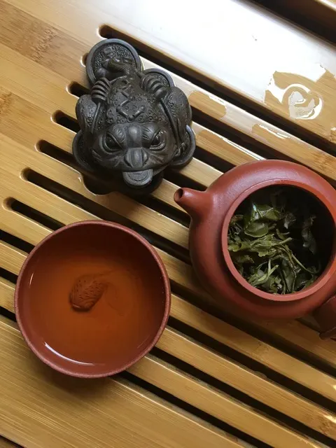 WILD Organic Tamaryokucha (Part 2)