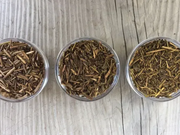 Houjicha: roasted Japanese green tea