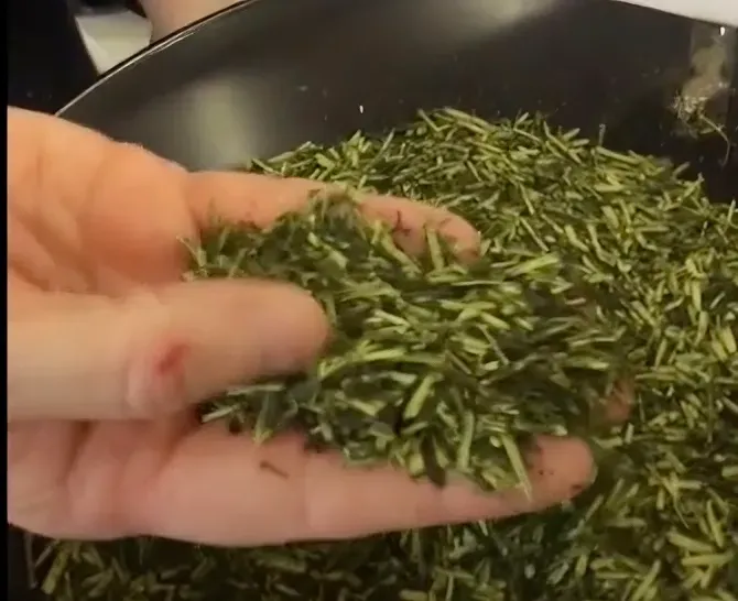 Who Else Wants Shiraore Kabusecha ?